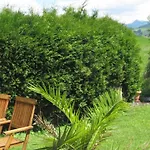 Panoramablick Pensjonat
