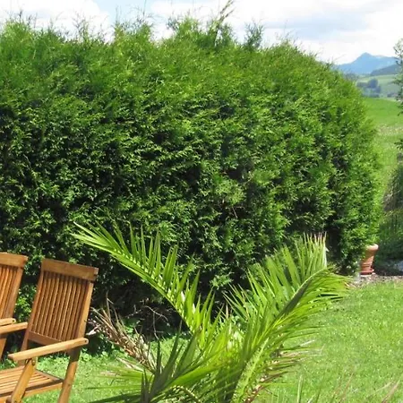 Panoramablick Pensionat
