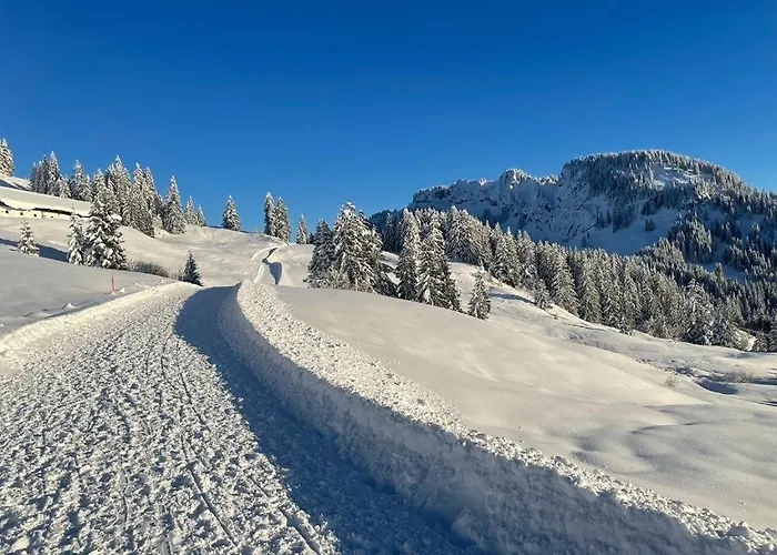 Panoramablick