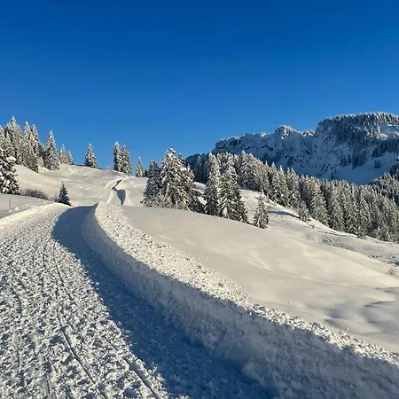 Panoramablick